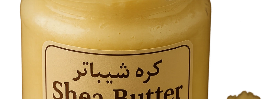 کره شیباتر