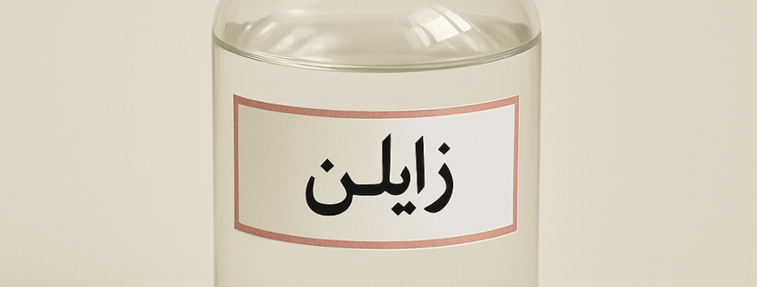 زایلن